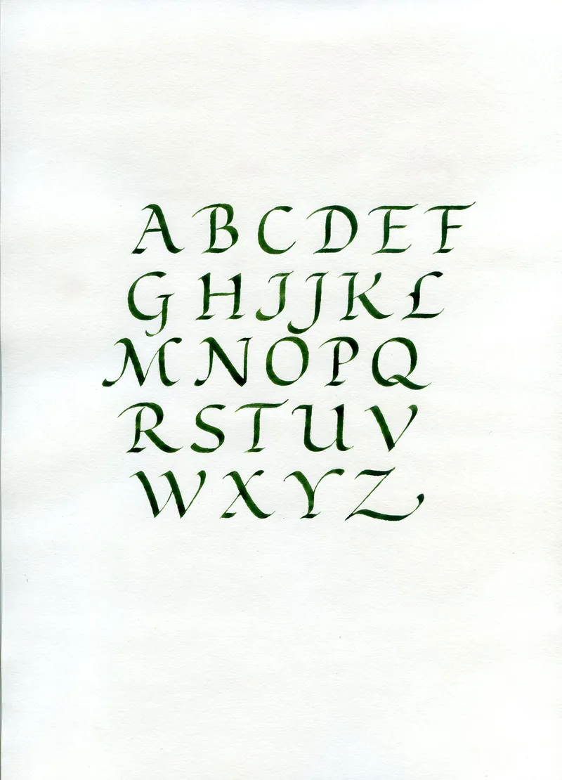 Cours de calligraphie latine