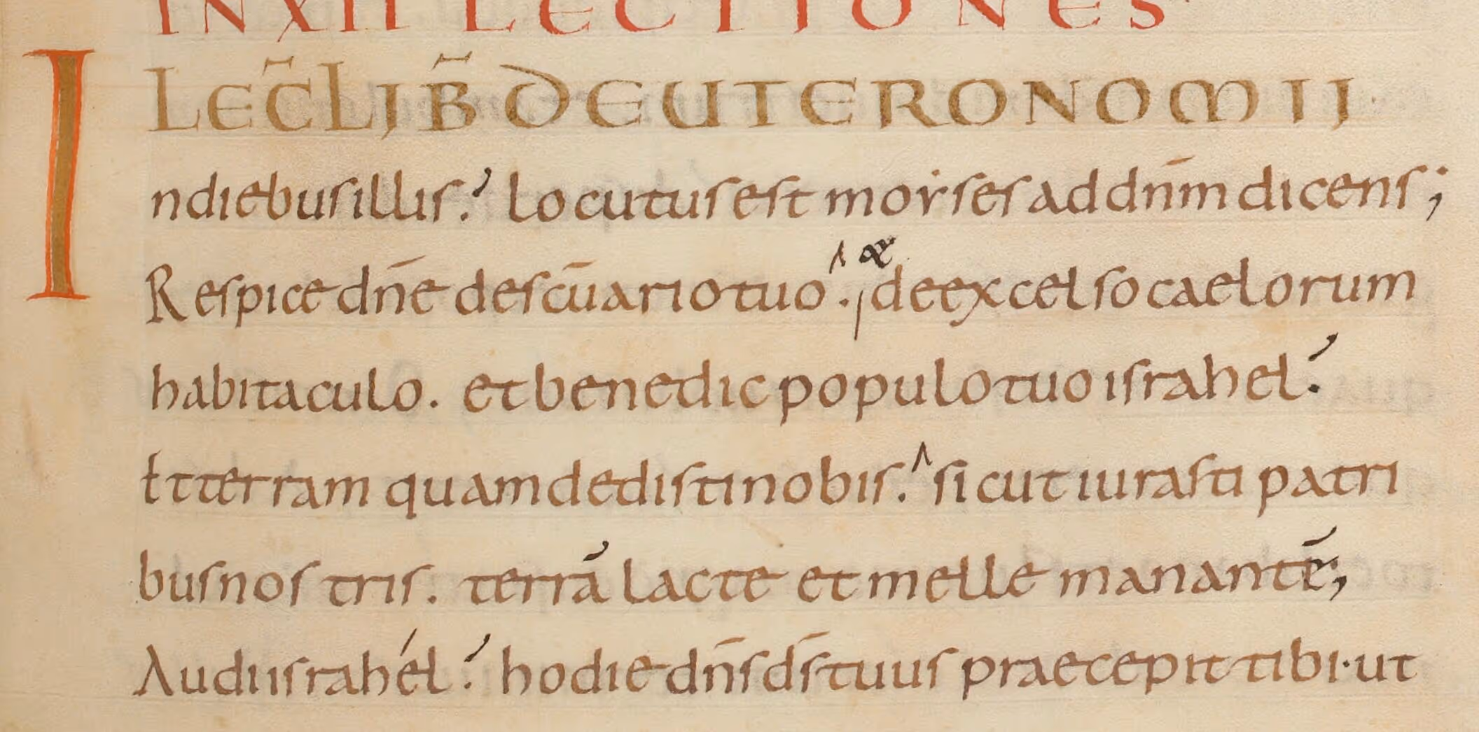 Céline Renaudie, calligraphie latine